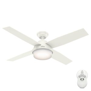 Hunter Dempsey Outdoor LED 52 in — Fresh White